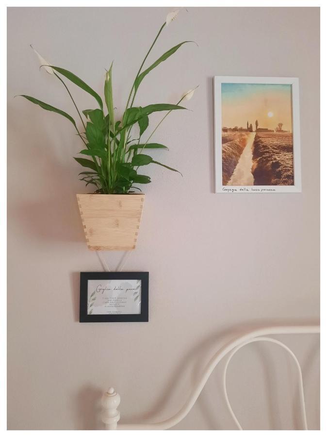 La Casina Bed & Breakfast Trecasali Екстериор снимка