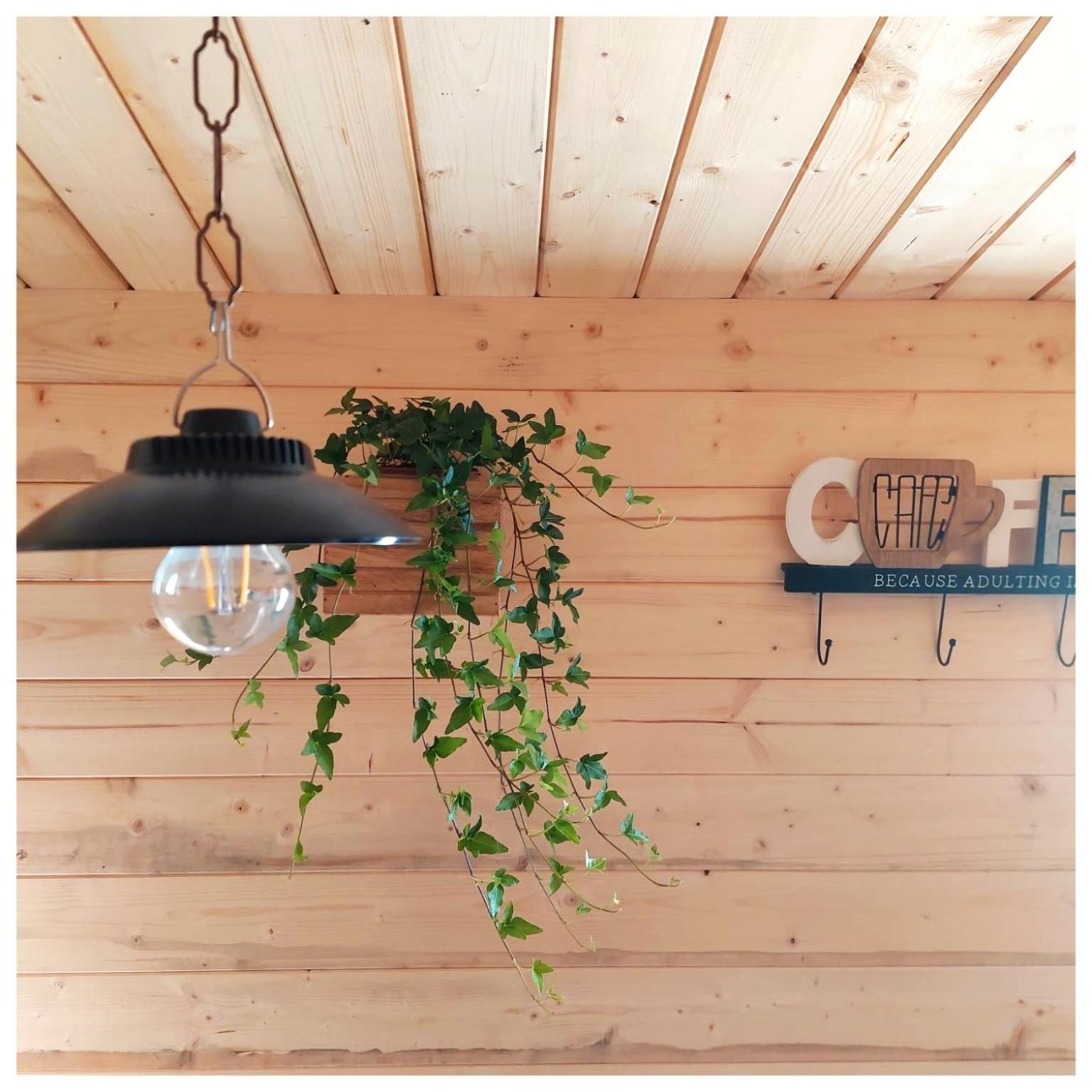 La Casina Bed & Breakfast Trecasali Екстериор снимка